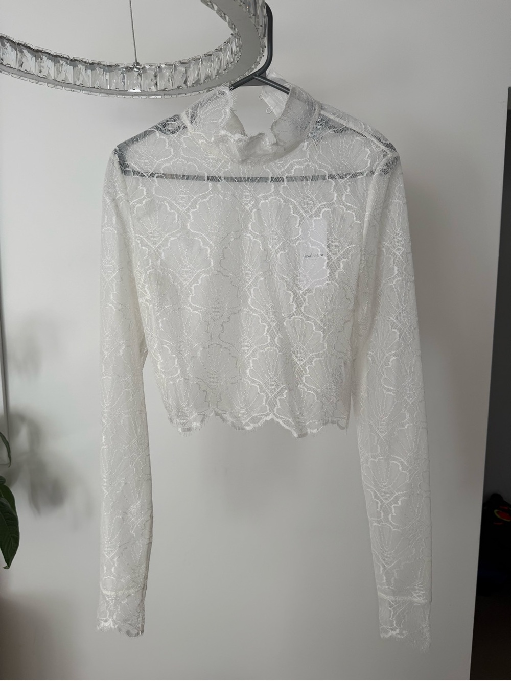 Sheer Lace Long-Sleeve Cropped Top in White